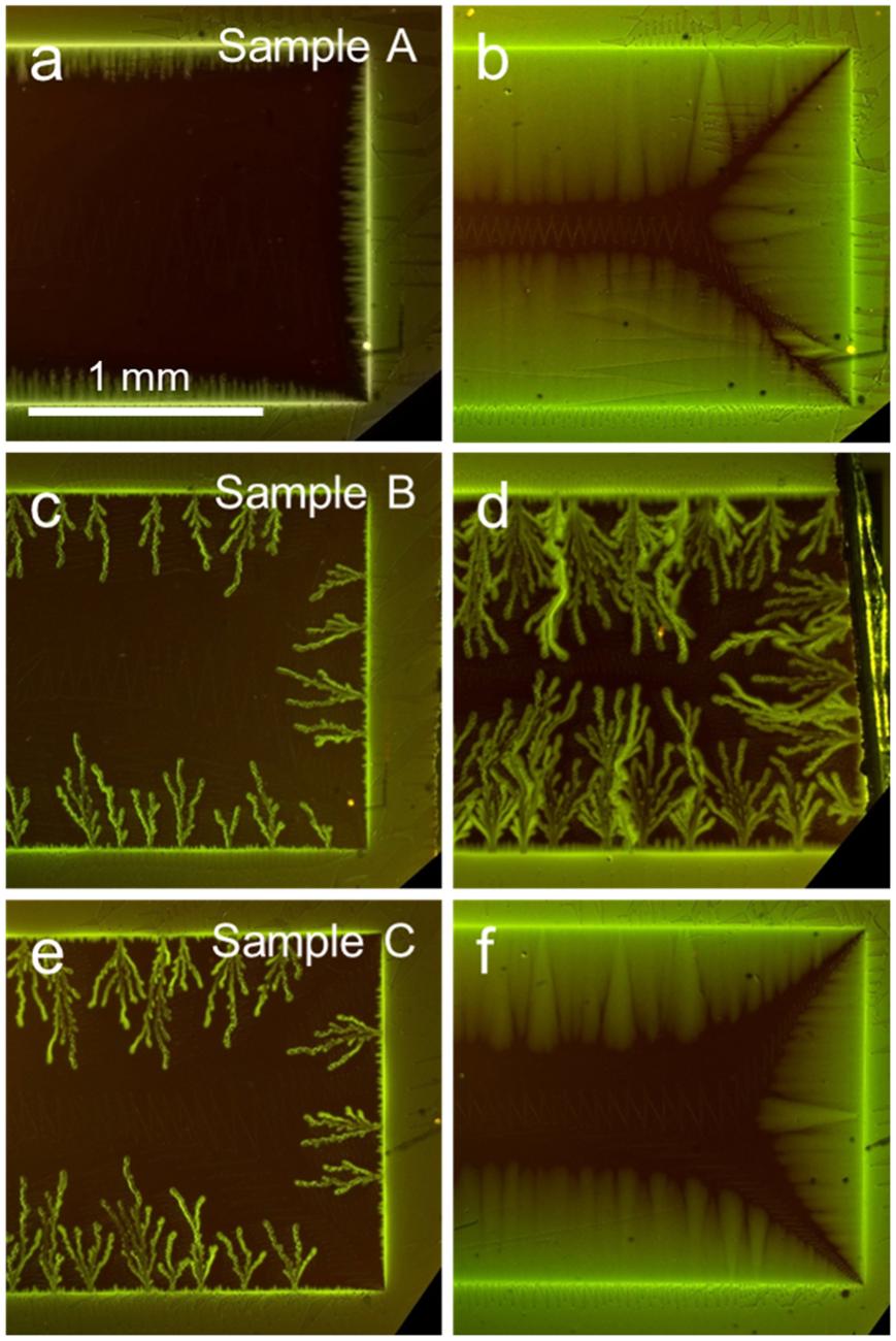 Magnetic testing images.