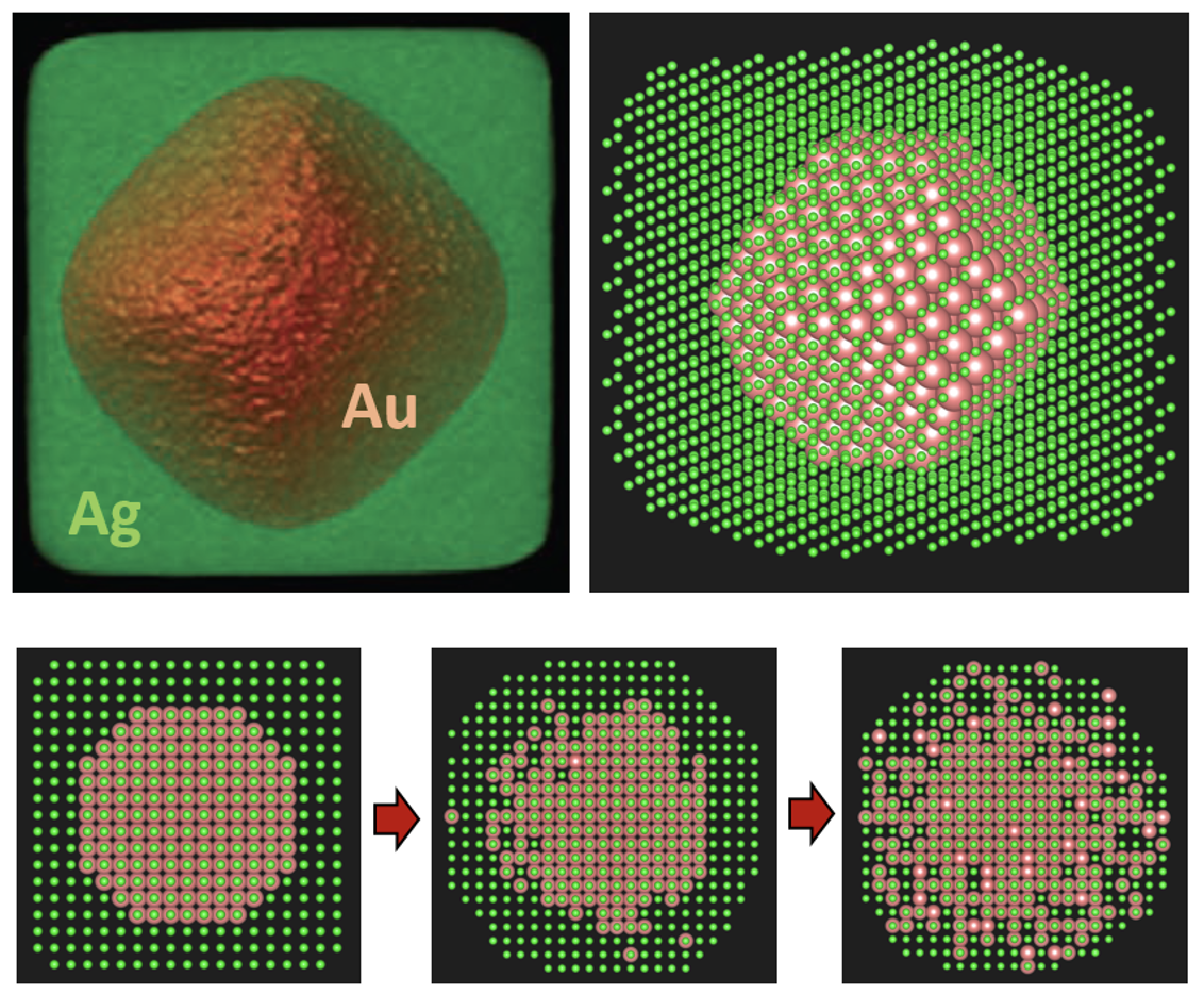 Experimental images and simulations.