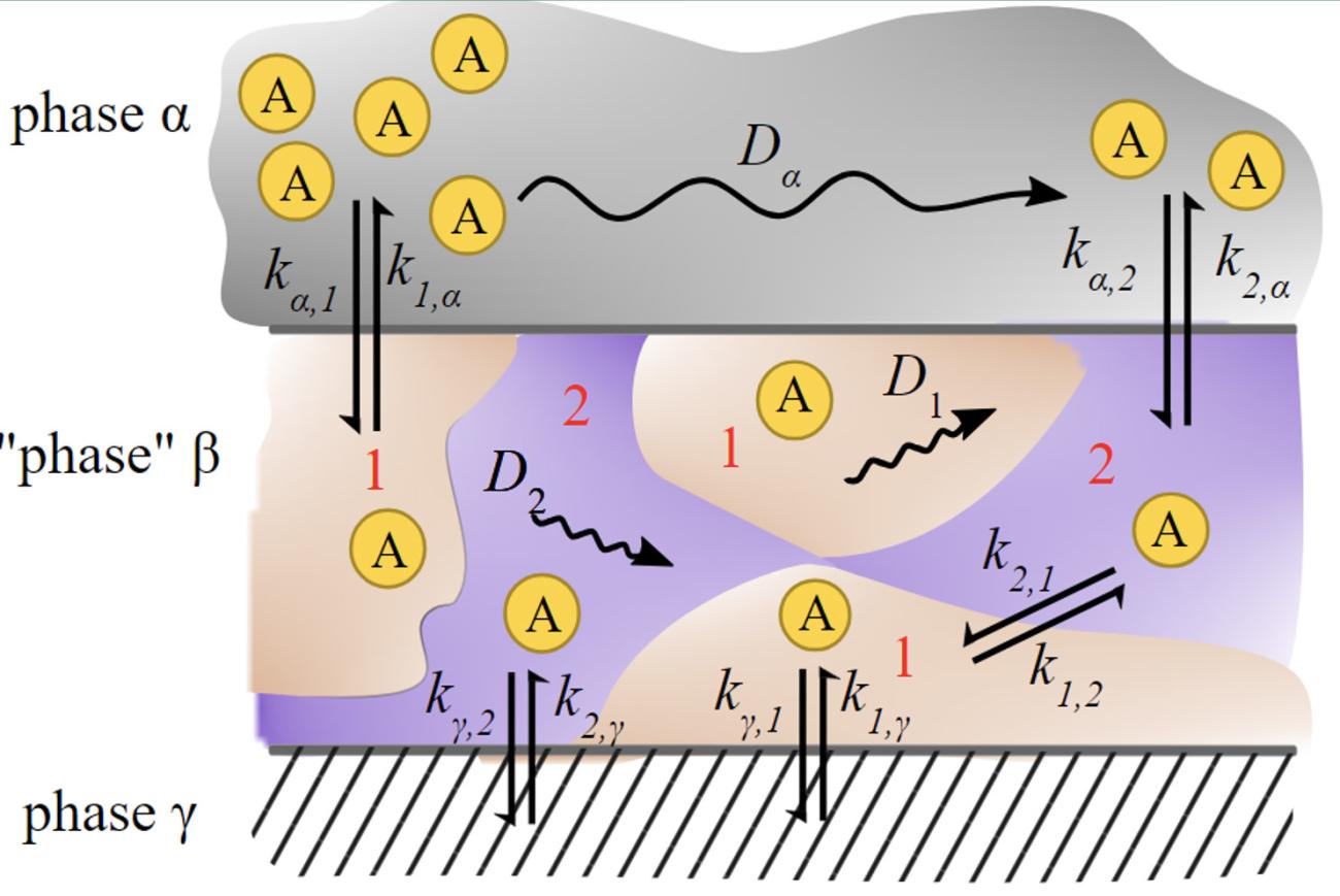 Model for an arbitrary type of separation between two phases.