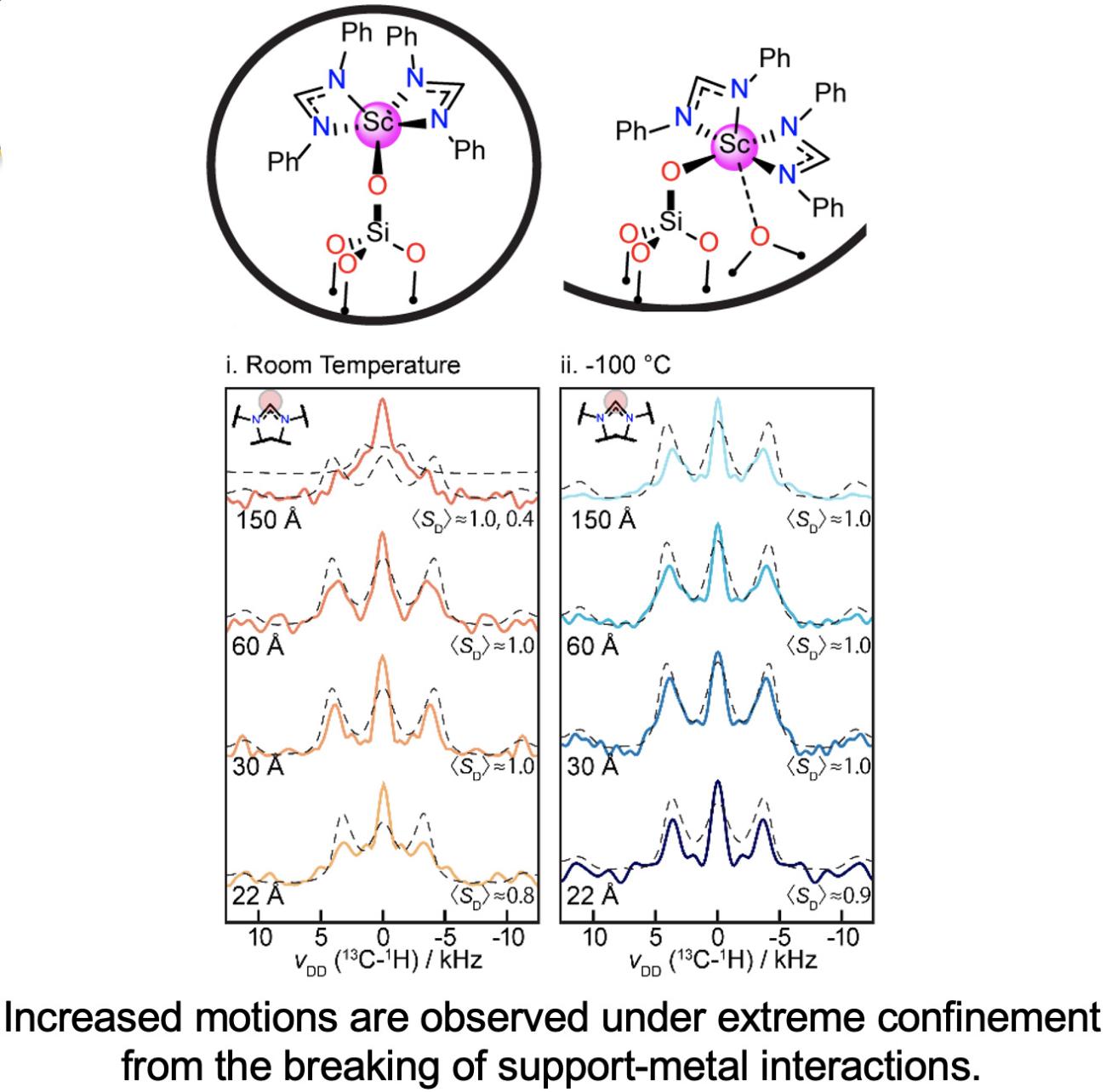 Visualization of increased motions under extreme confinement from the breaking of support-metal interactions