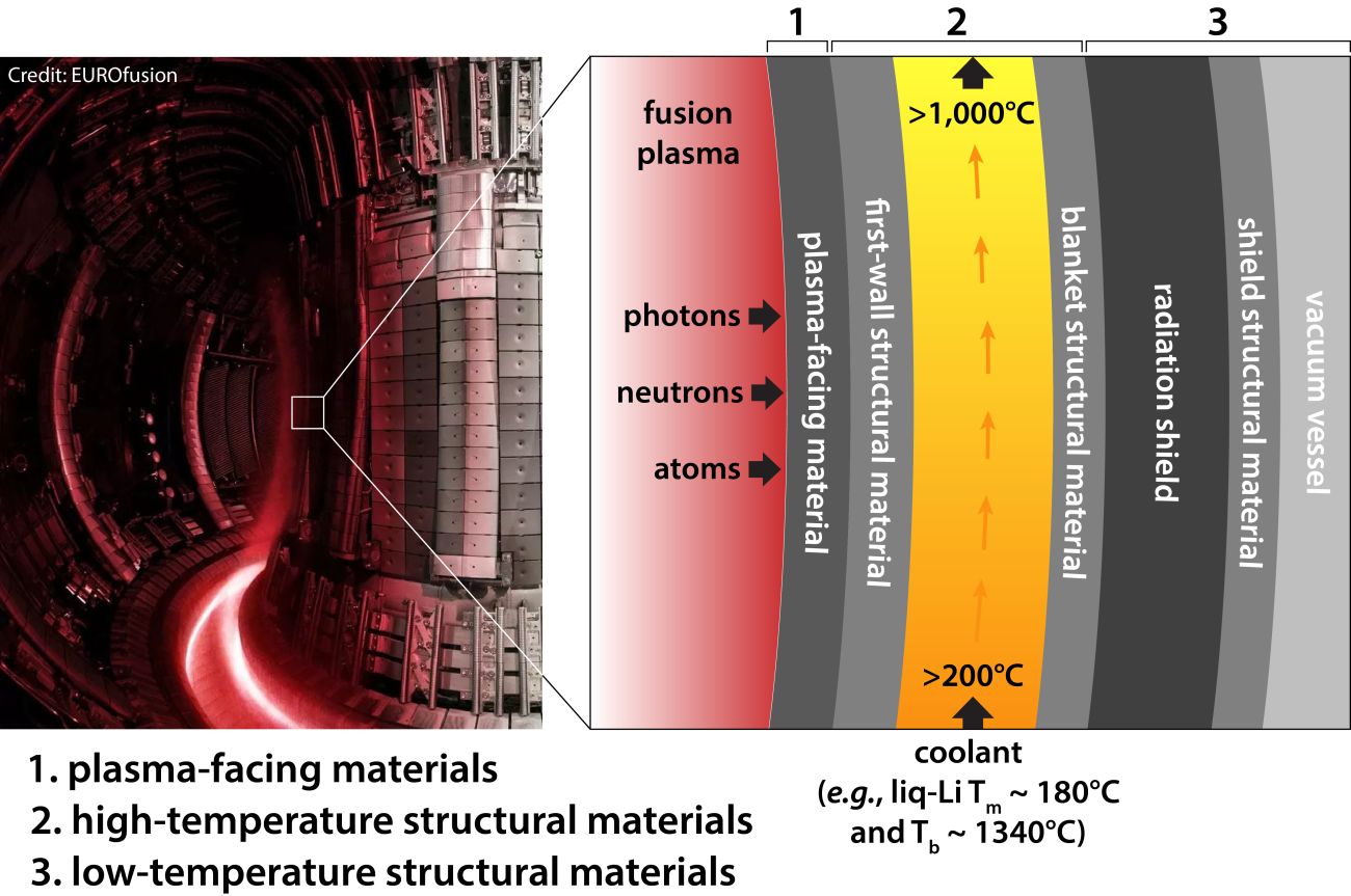 Diagram of the first wall of a fusion reactor.