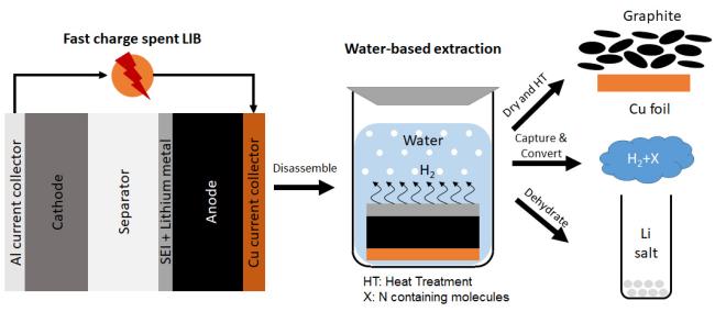 BRAWS process overview.
